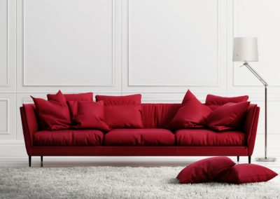 Carpet cleaning