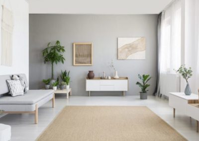 Carpet Cleaning Service