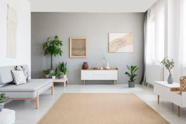 Carpet cleaning service