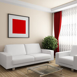 Upholstery Cleaning
