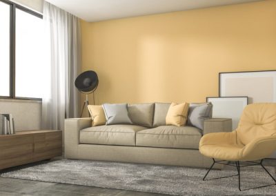 Upholstery cleaning