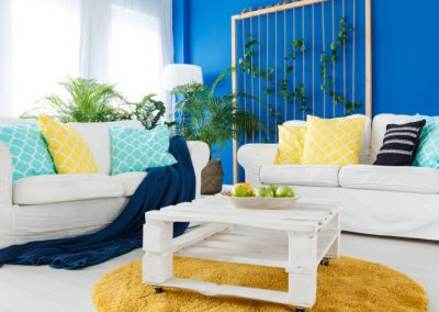 Upholstery cleaning