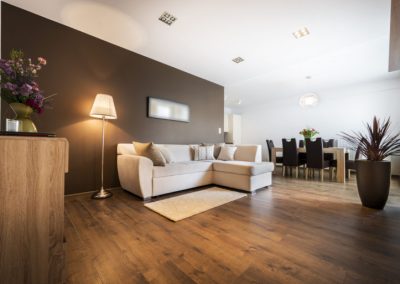 Wood Floor Cleaning