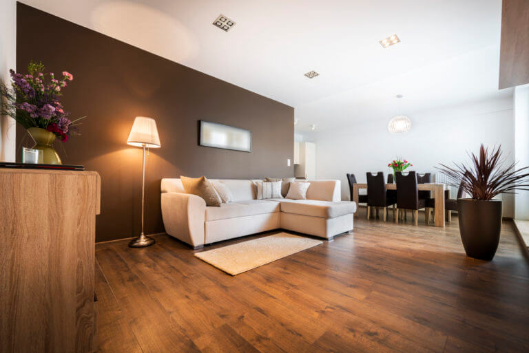 Wood floor cleaning